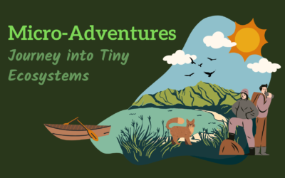 Journey into Tiny Ecosystems