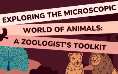 A Zoologist’s Toolkit